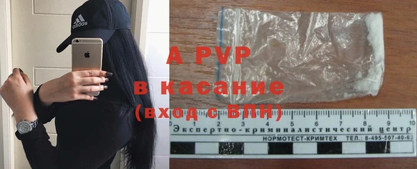 сатива Козловка